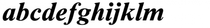 Times New Roman Seven Std Bold Italic