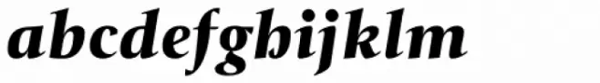 Tramuntana 1 Caption Pro Heavy Italic