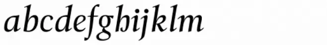 Tramuntana 1 Caption Pro Italic