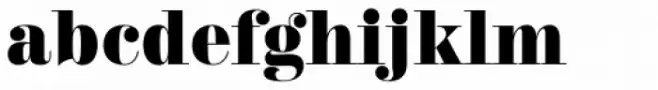 Trivia Serif Black