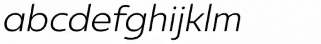 Ultine Norm Book Italic