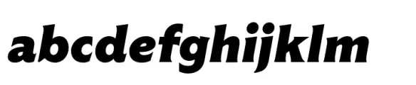 Vanguardia Black Italic