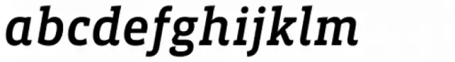 Vista Slab Medium Italic