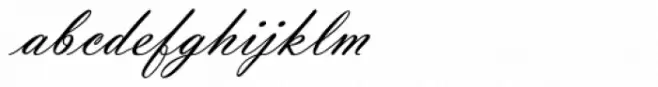 Vladimir Script D