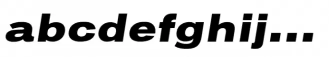 Vonnes Extended Black Italic