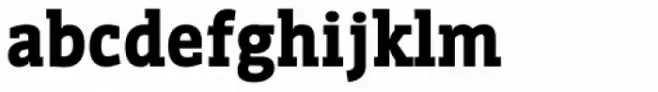 WerkSerif Black
