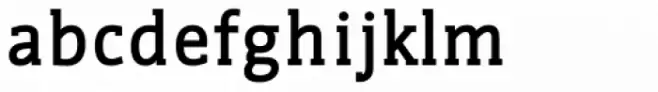 WerkSerif Bold