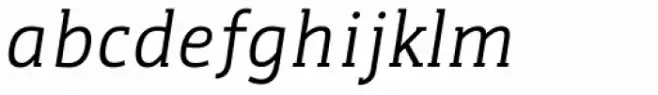 WerkSerif Italic