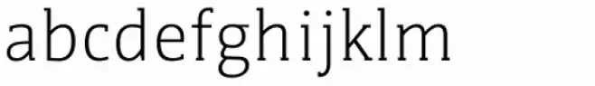 WerkSerif Light