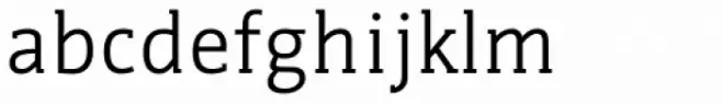 WerkSerif Regular