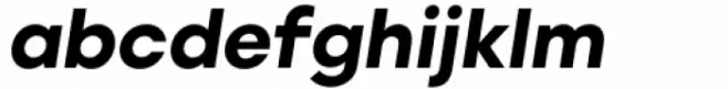 Willgray B Extra Bold Italic