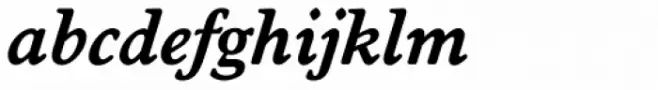 Worcester Serial Bold Italic