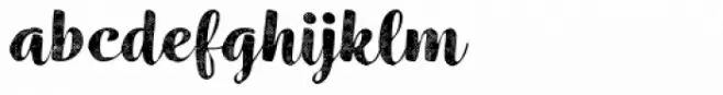 Wreath Halftone Bold