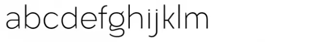 Zagist Thin