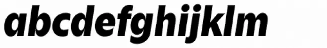 Zin Sans Black Italic