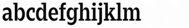 Zin Slab Condensed Demo