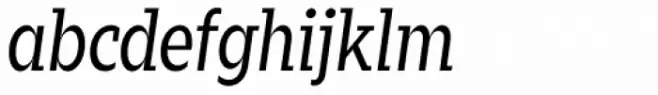 Zin Slab Condensed Regular Italic